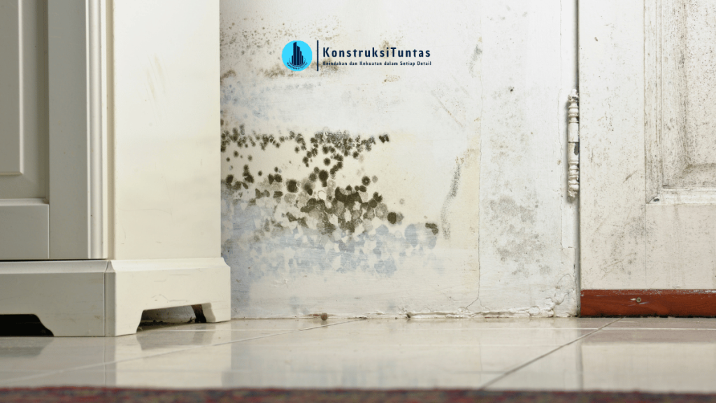 Cara Mengatasi Dinding Lembap Secara Permanen